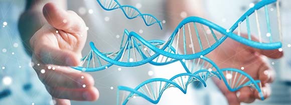 15488_cells_banner