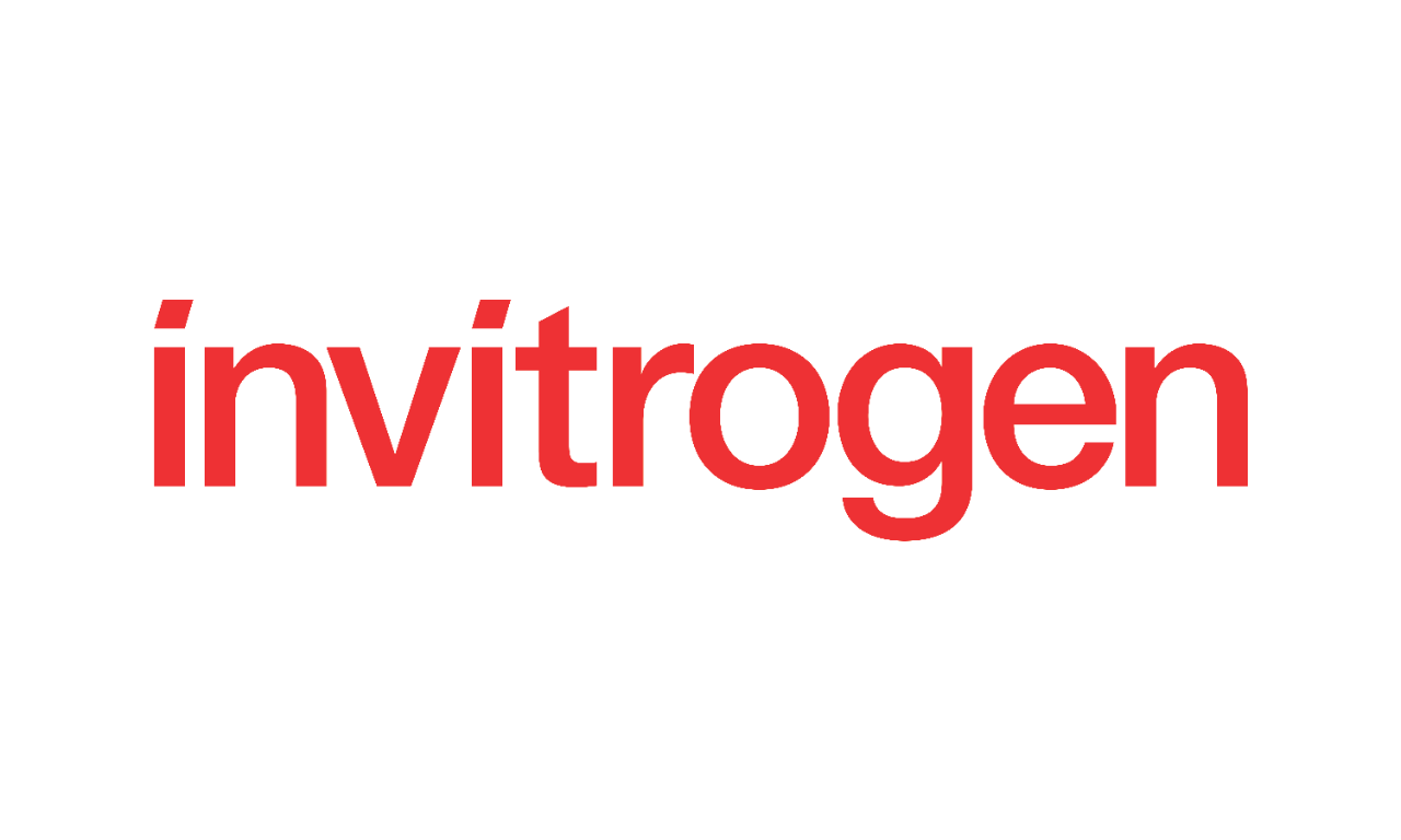 invitrogen invitrogen