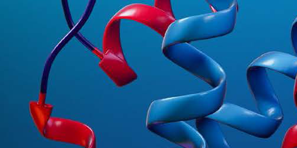 Verwirklichen Sie Ihr Protein- und Zellpotenzial