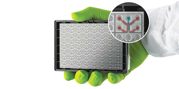 Organ-on-a-Chip-Technologie