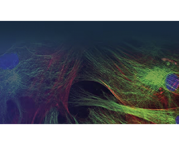 Fluoreszierende Farbstoffe und Sonden