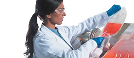 Thermo Scientific Lösungen für die Bioprozesstechnik
