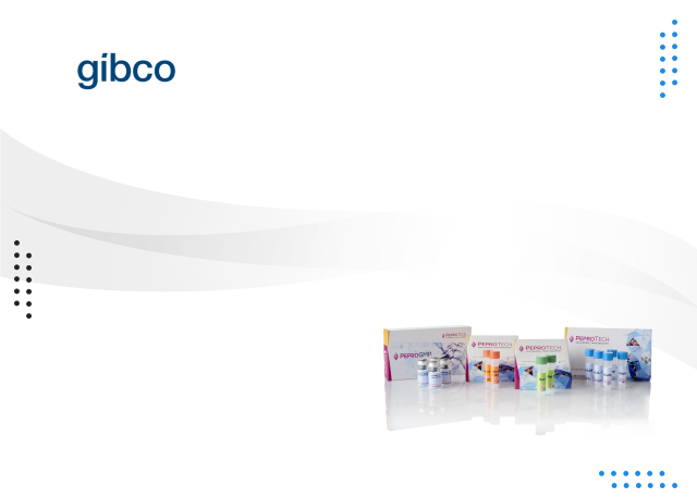 Product banner