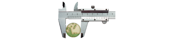 Caliper holding a Petri dish with growing culture Caliper holding a Petri dish with growing culture