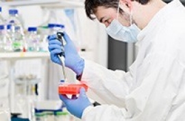 bioreagents Bioreagents