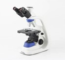 13297_Microscopy_Local
