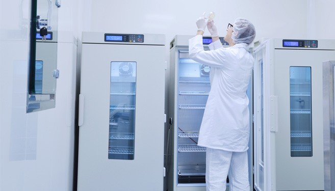 In Cold Storage