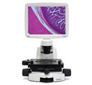 13297_Microscopy_Local